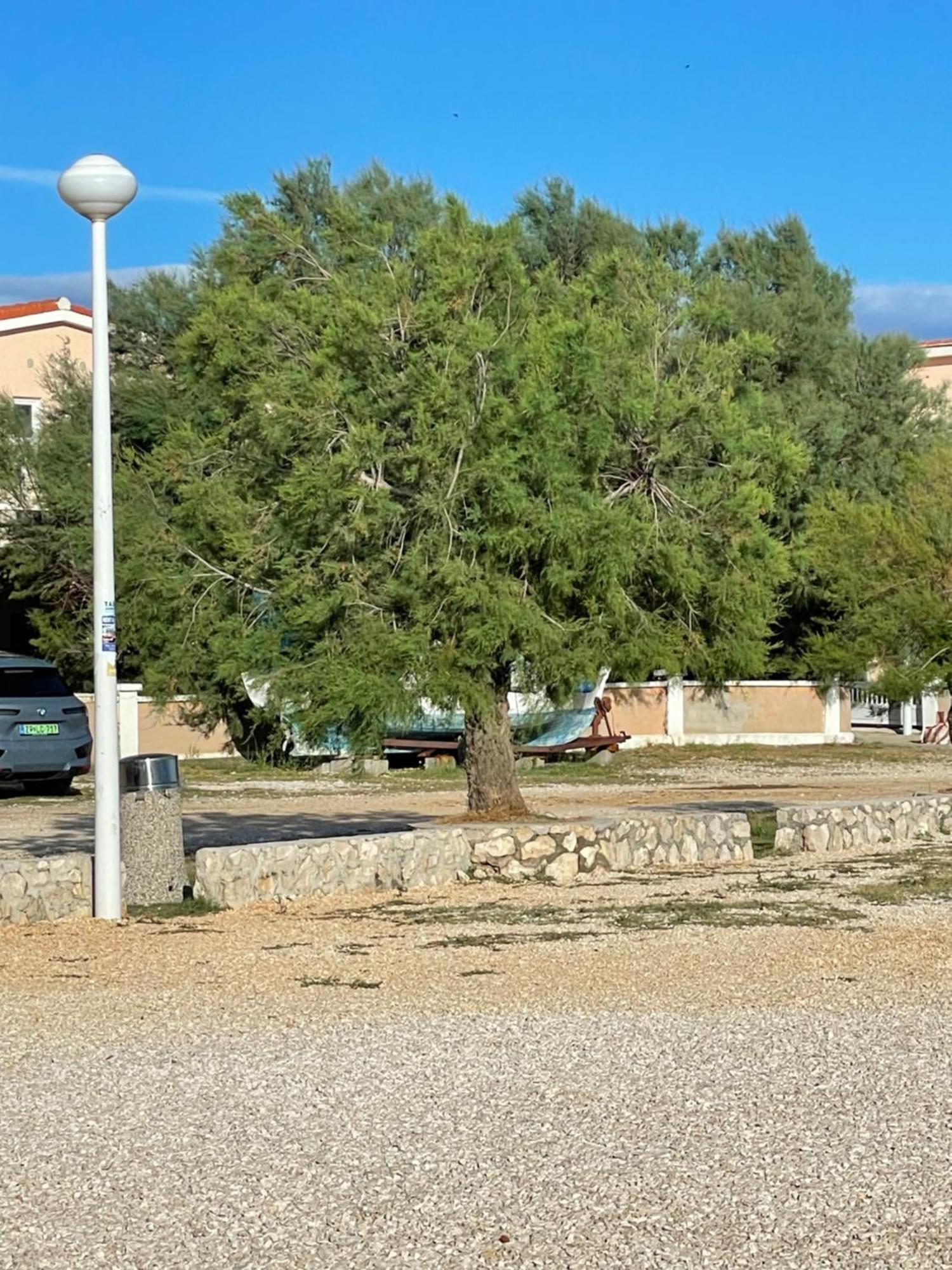Apartman Boja ויר מראה חיצוני תמונה